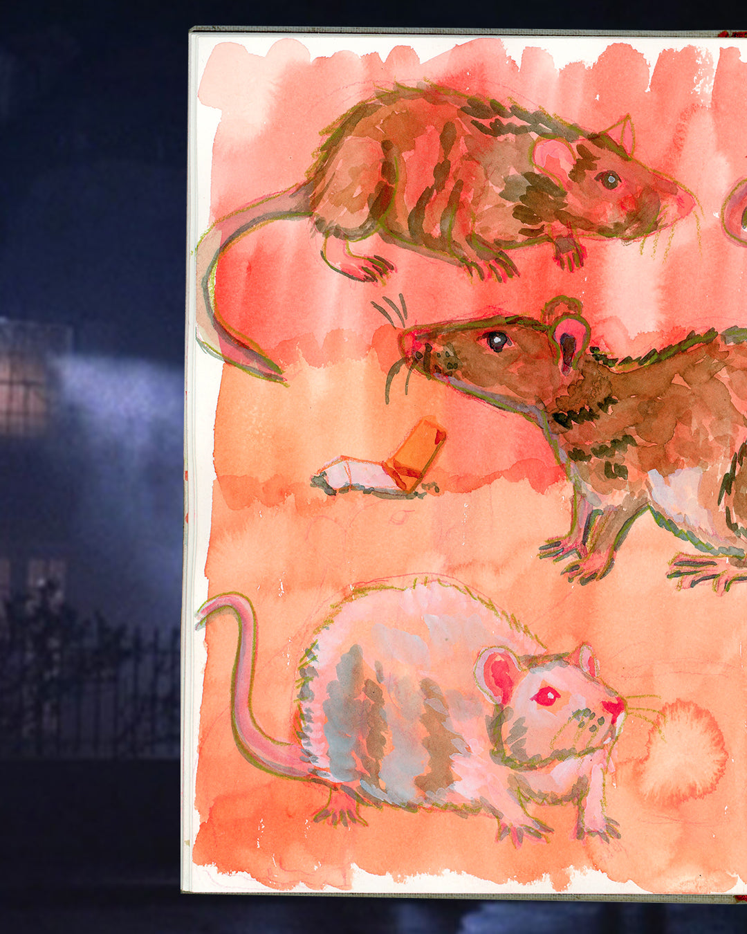 CigaRat Giclée Print