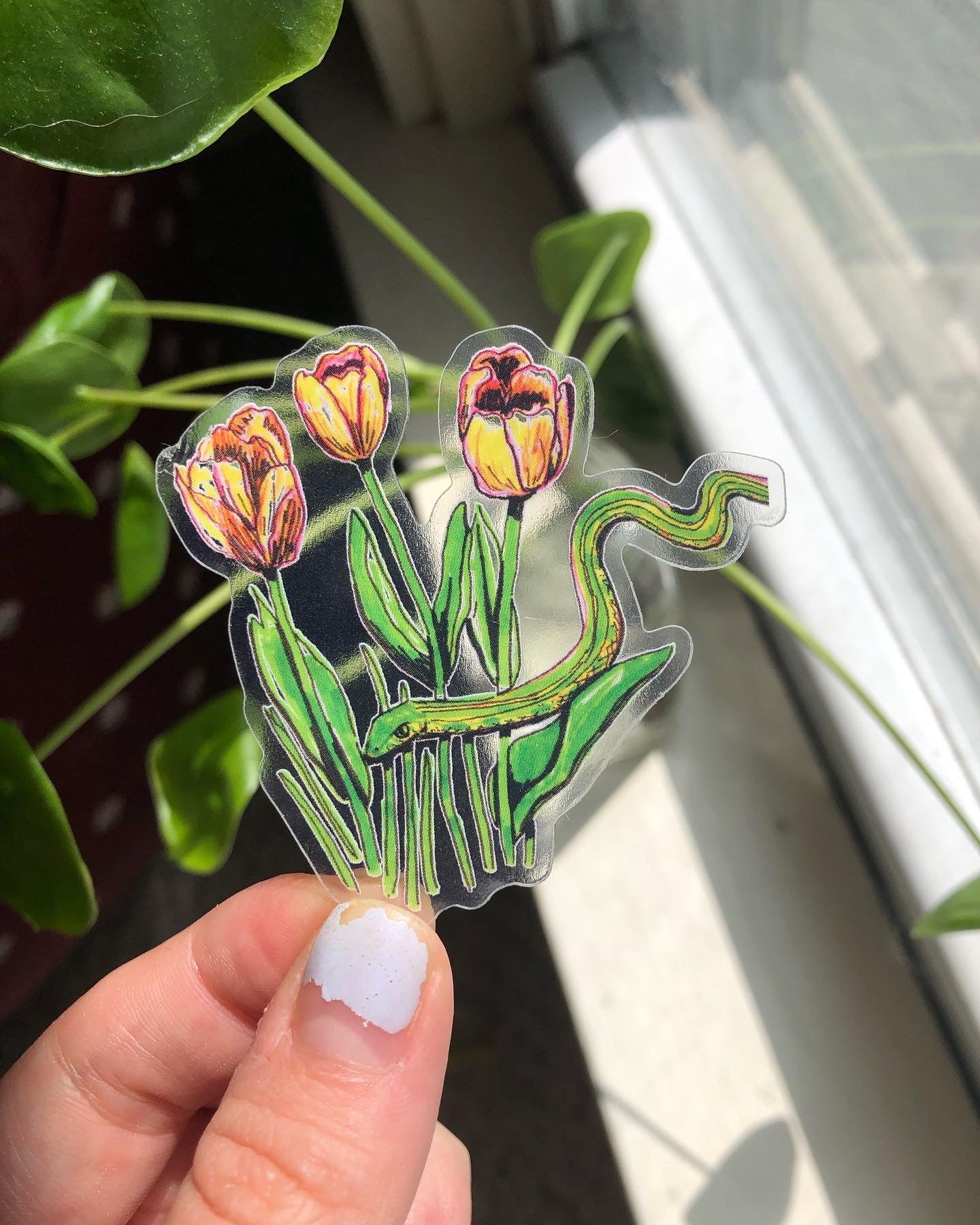 Clear Garter Snake Among Tulips Sticker