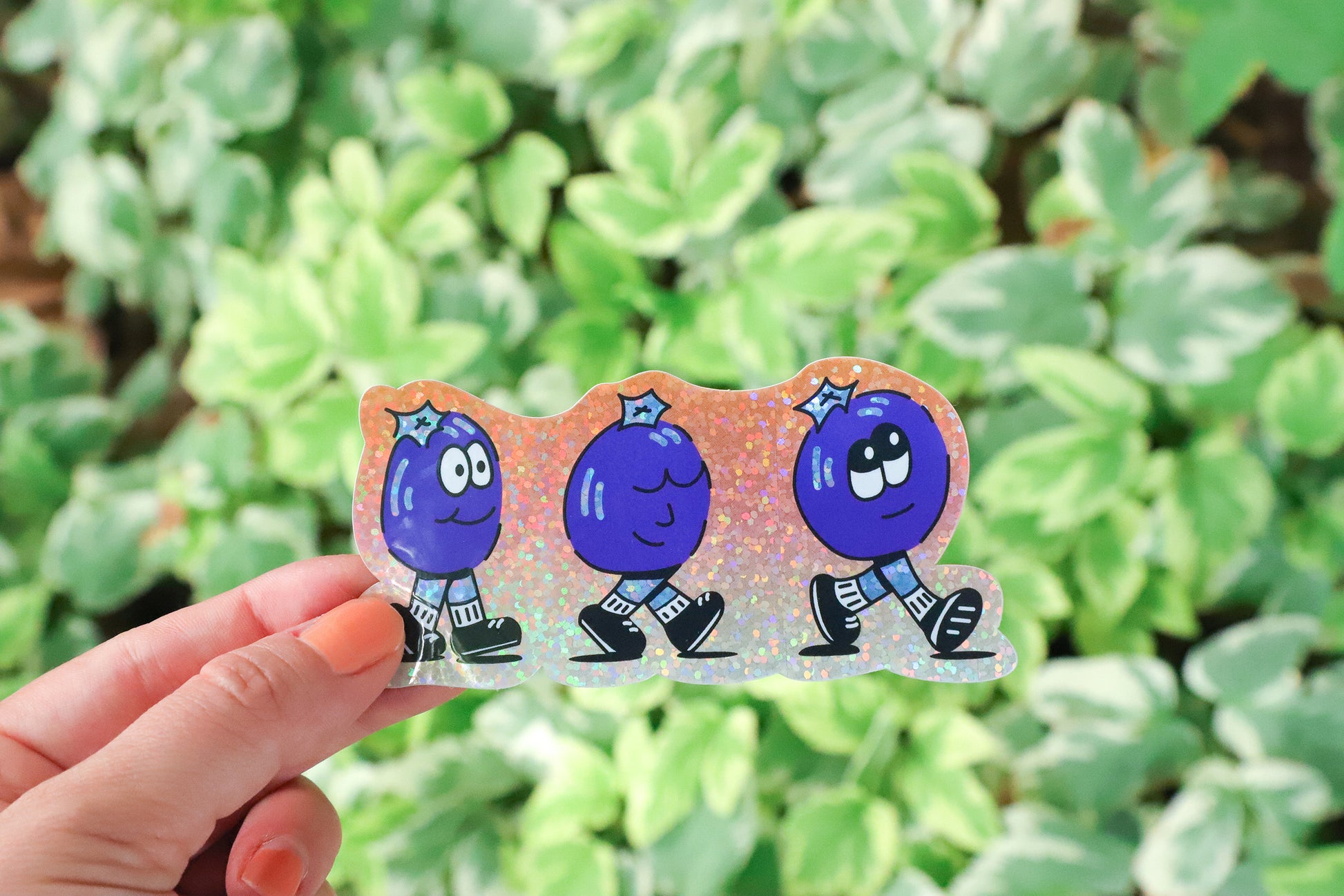 Blueberry Squad