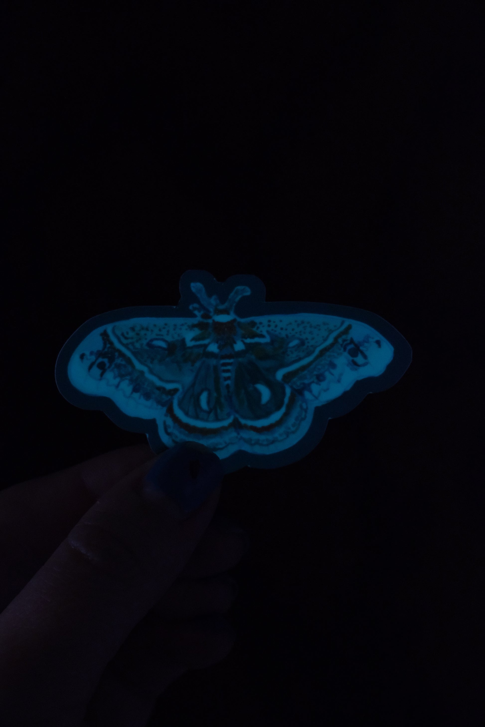 Glow in the dark Cecropia Moth Sticker