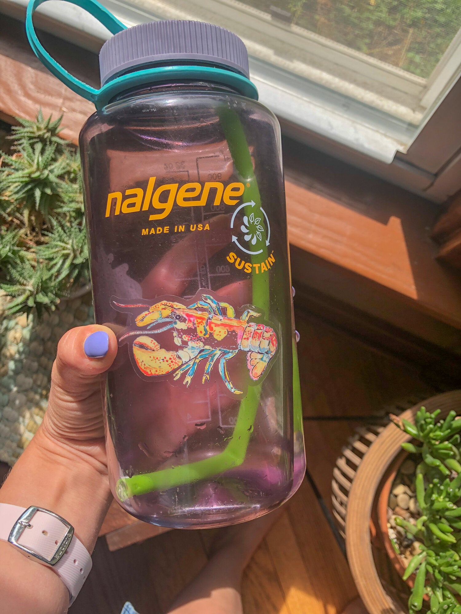 Clear Lobster Sticker