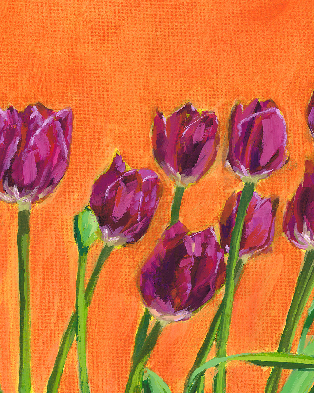 "Tulips Study" Giclée Print