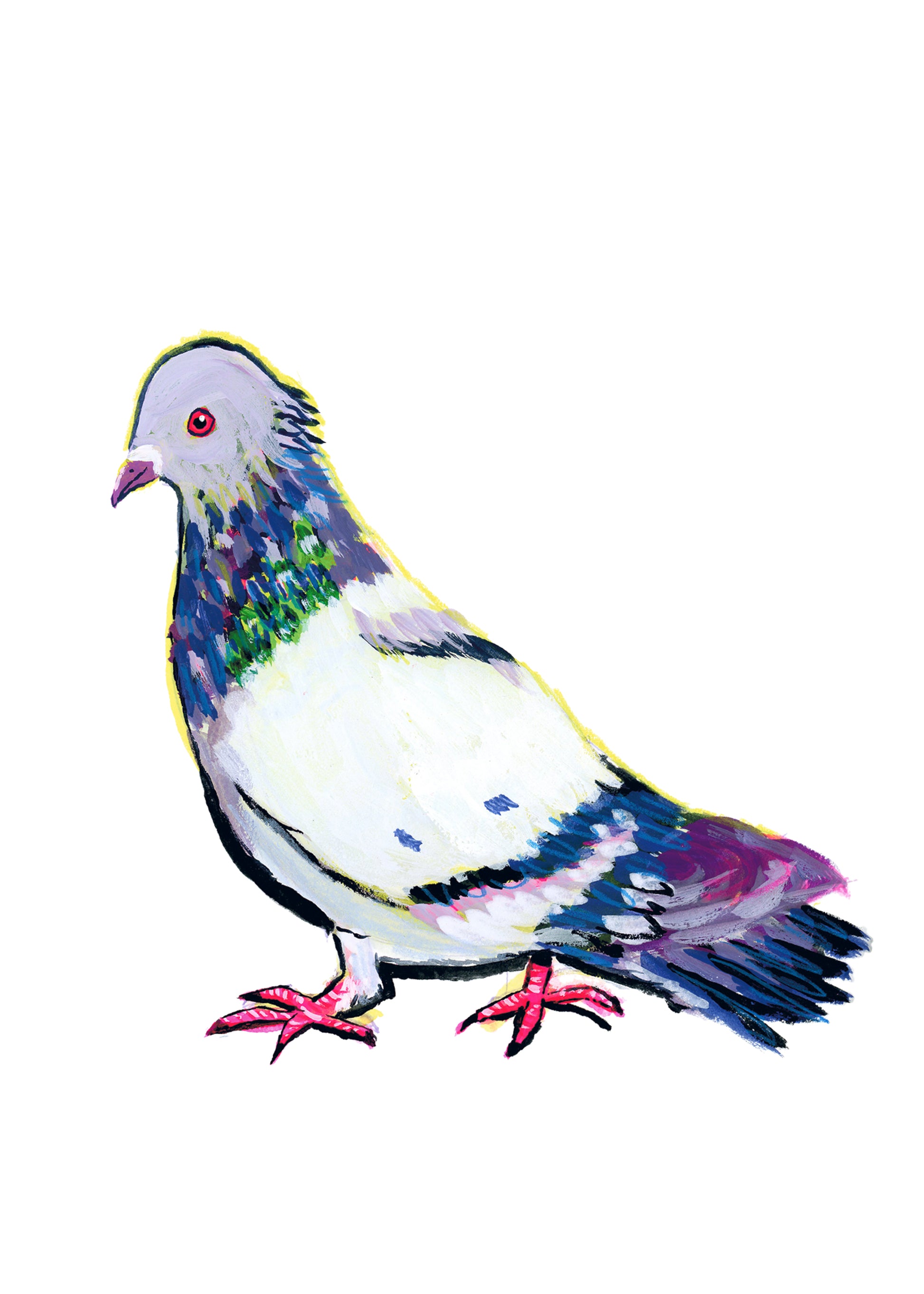 Pigeon Study Giclée Print